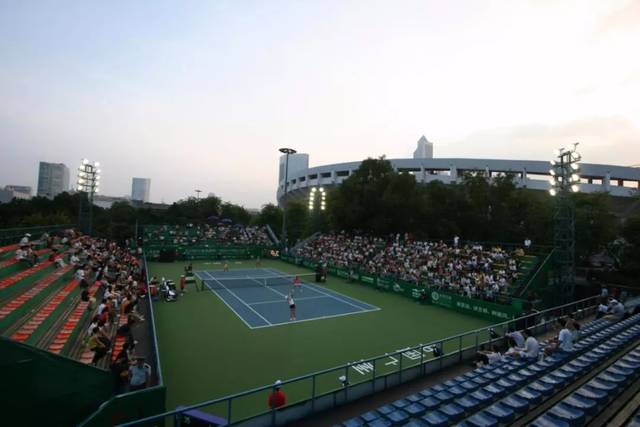 更多树木 更多树木